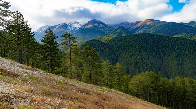 Bansko Leisure Day